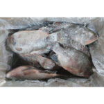 Frozen Whole Tilapia Fish Exporters Factory Low Price (2)