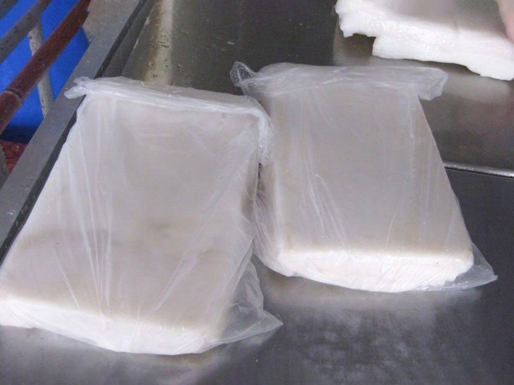 Frozen Gigas Squid Fillet Skinless