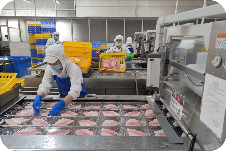 Taiseng farm raised seafood processing and quality control